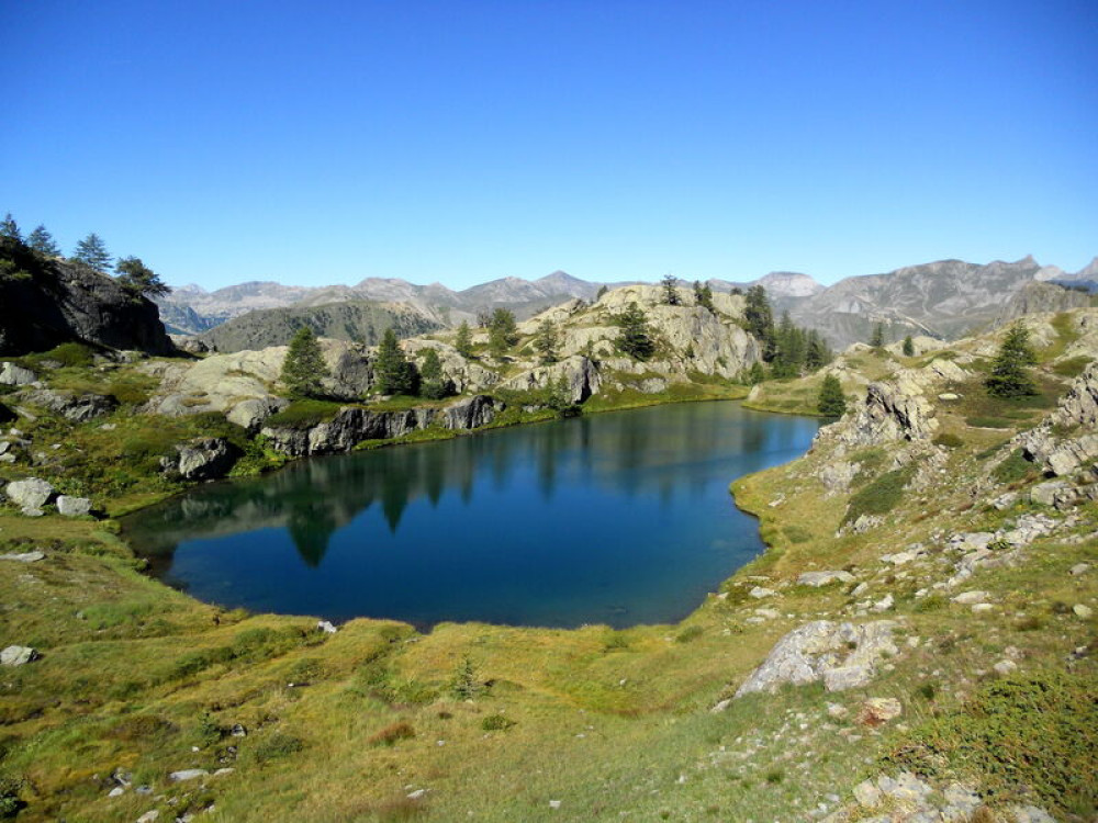 site