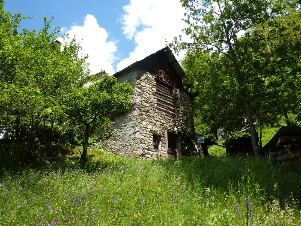 site