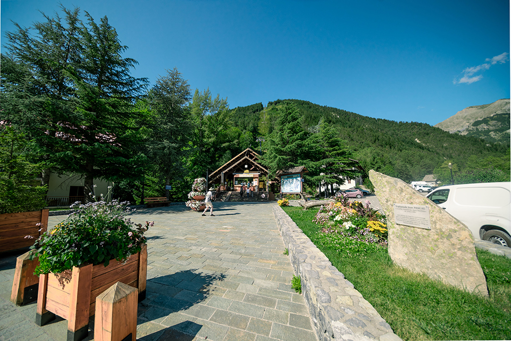 site